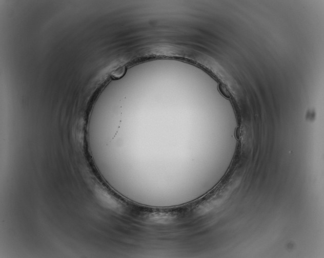 X0000101680445200807241349