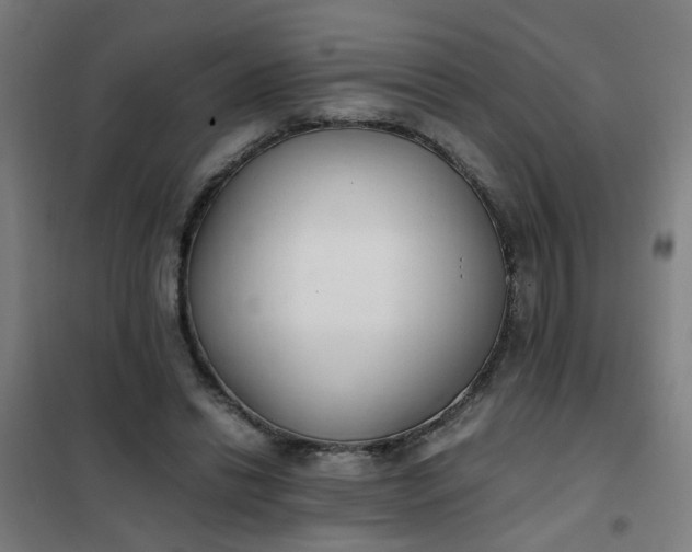 X0000101680446200807241349