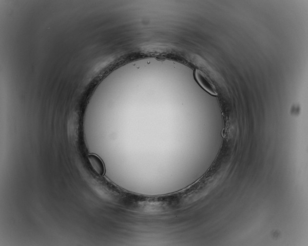 X0000101680448200807241349