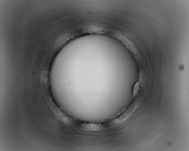 X0000101680449200807241349