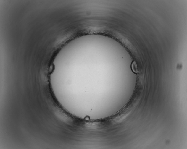 X0000101680450200807241349