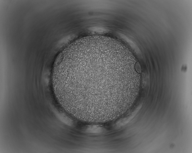 X0000101680451200807241349