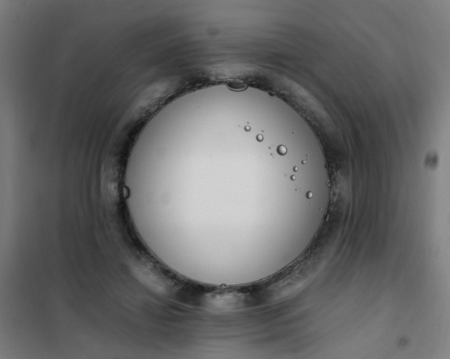 X0000101680452200807241349