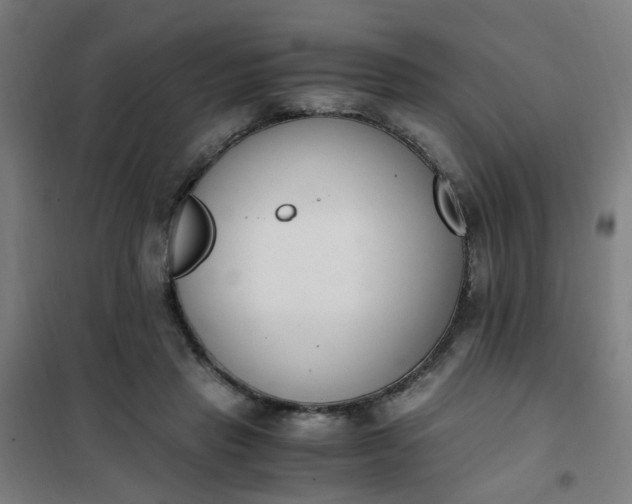 X0000101680453200807241349