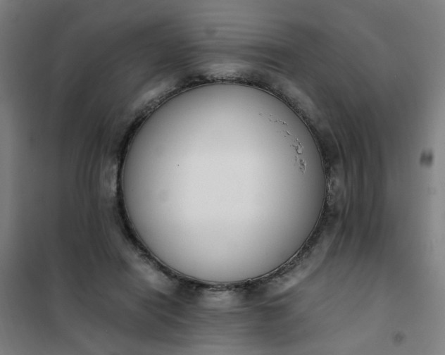 X0000101680454200807241349