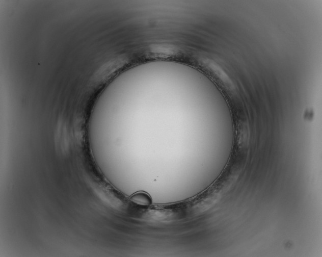 X0000101680455200807241350