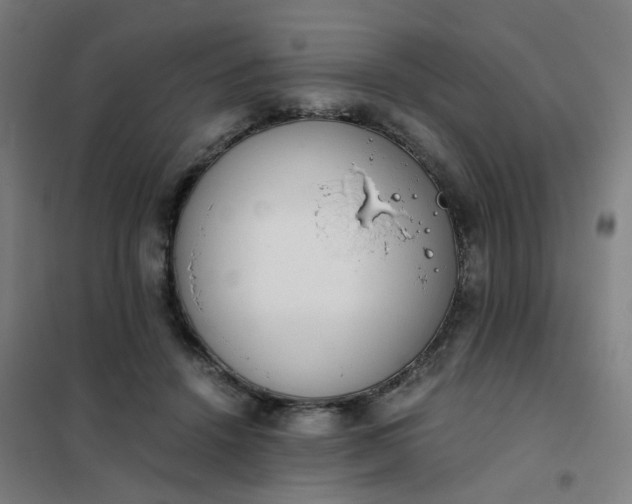 X0000101680456200807241350