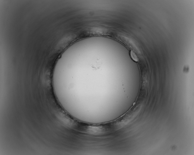 X0000101680457200807241350