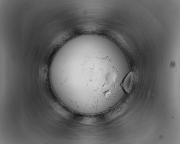 X0000101680458200807241350