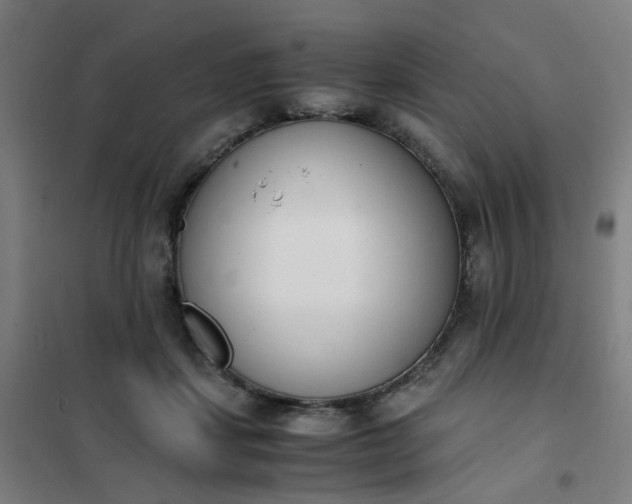 X0000101680459200807241350