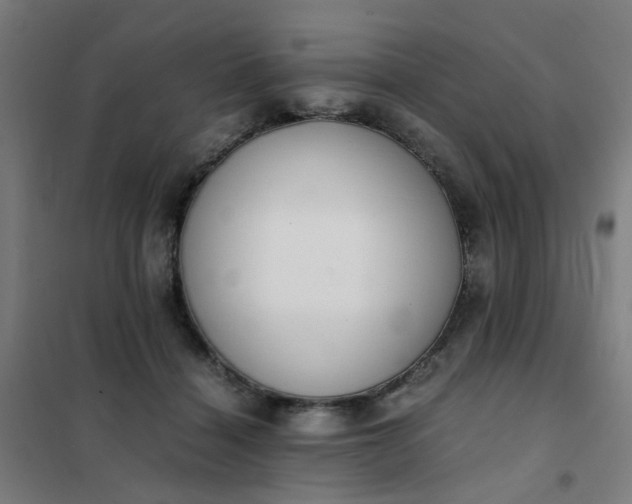 X0000101680460200807241350