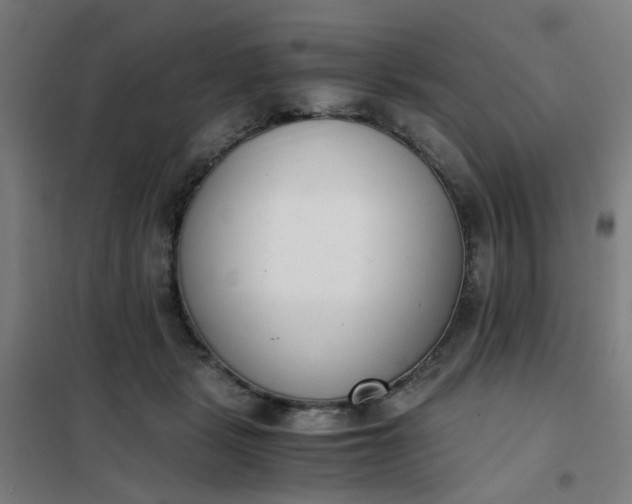 X0000101680461200807241350