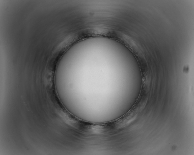 X0000101680462200807241350