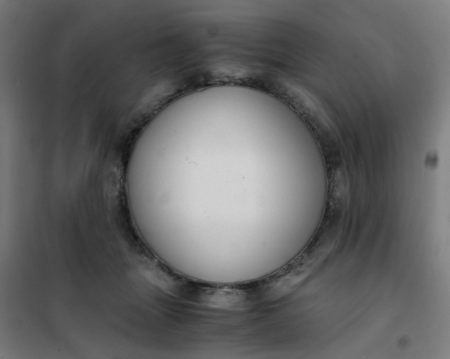 X0000101680463200807241350