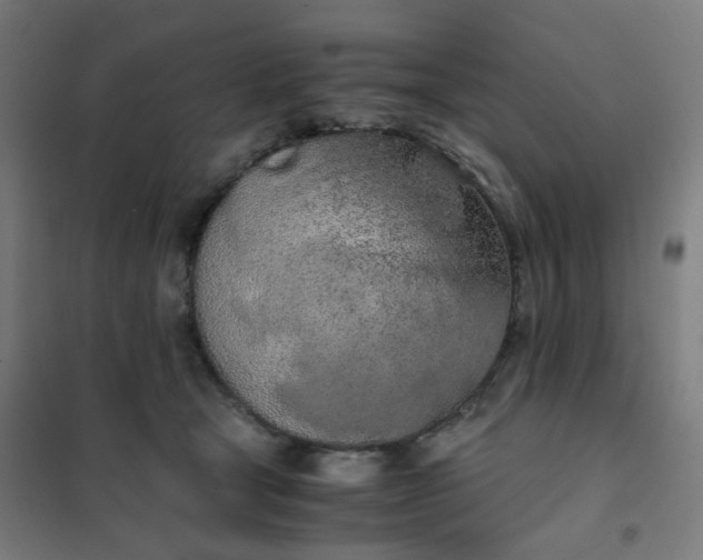 X0000101680465200807241350