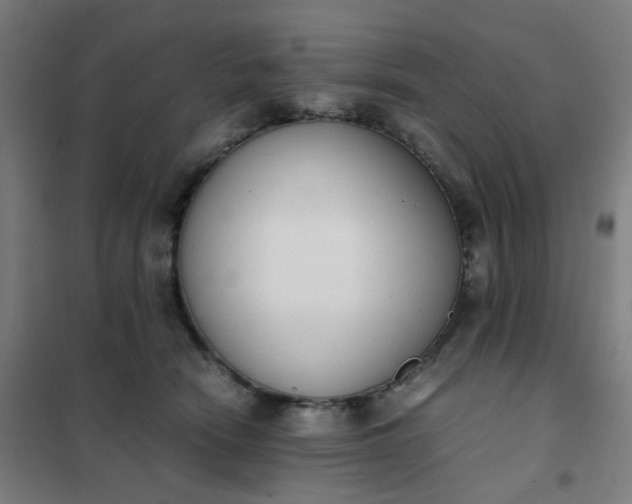 X0000101680466200807241350