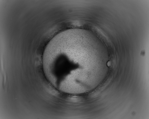 X0000101680467200807241350