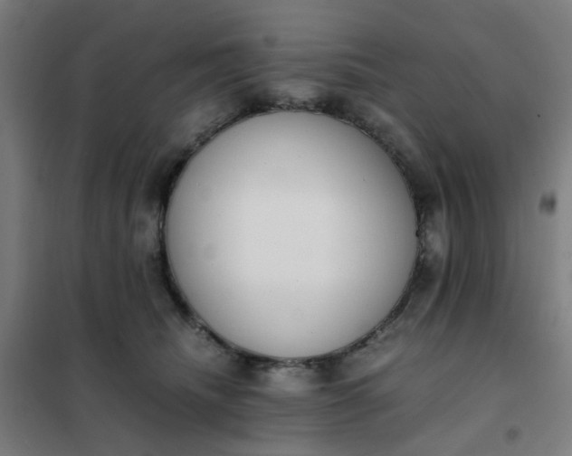 X0000101680468200807241350