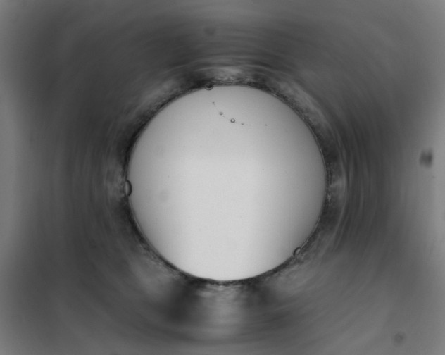 X0000101680469200807241350