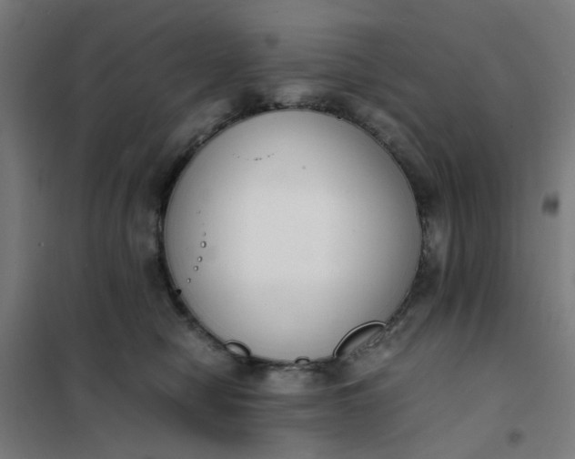 X0000101680470200807241350