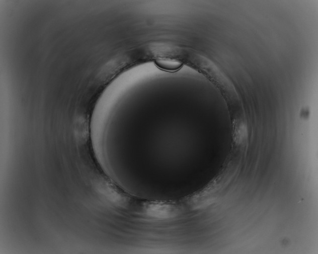 X0000101680471200807241350