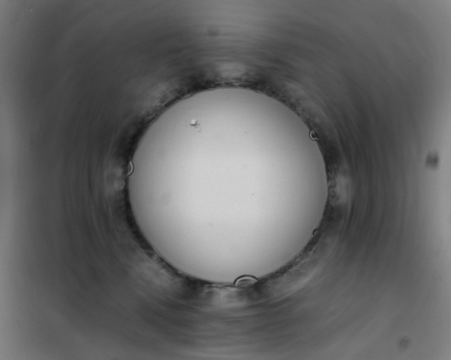 X0000101680472200807241350