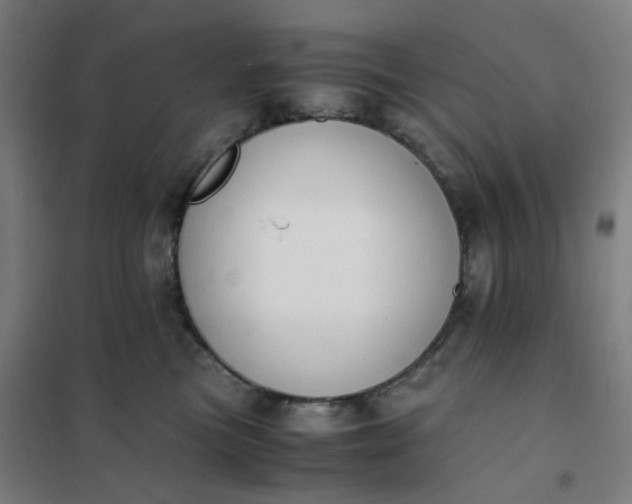 X0000101680473200807241350