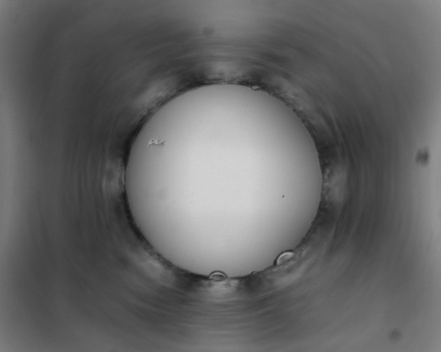 X0000101680474200807241350