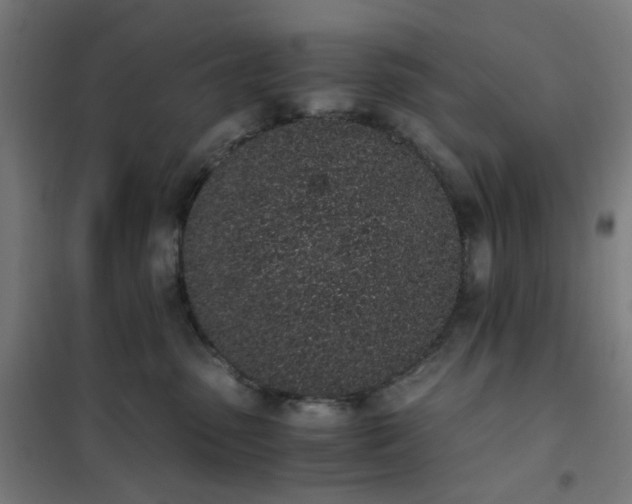 X0000101680475200807241350