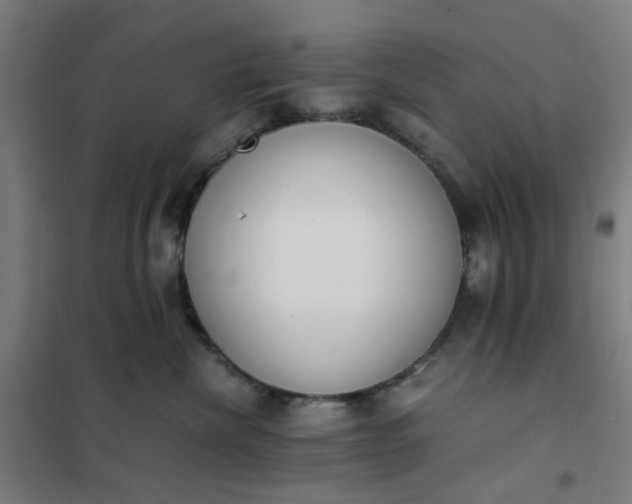 X0000101680476200807241350