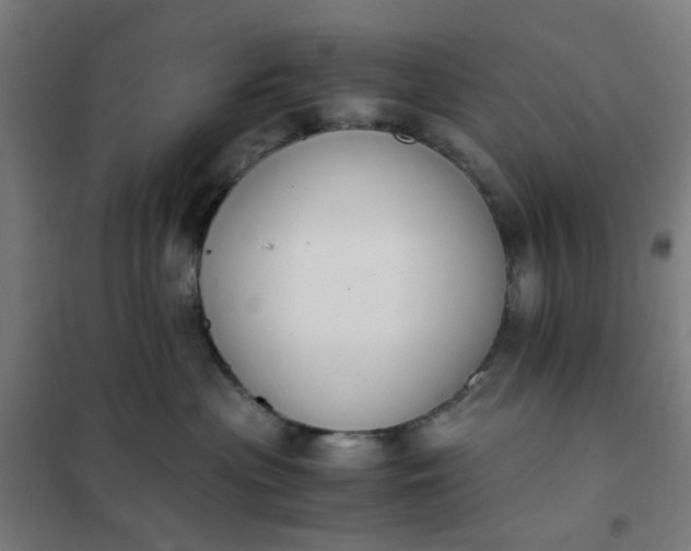 X0000101680477200807241350