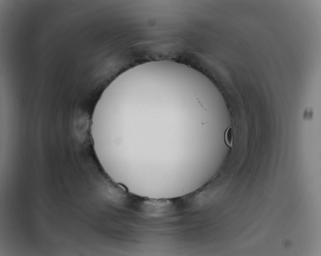 X0000101680480200807241350