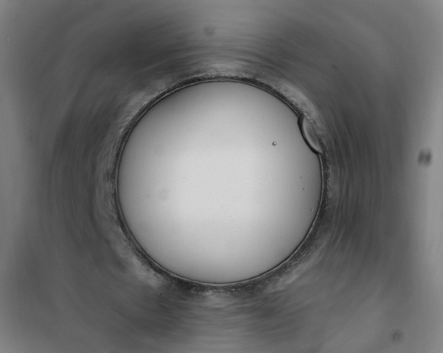 X0000101680481200807241349