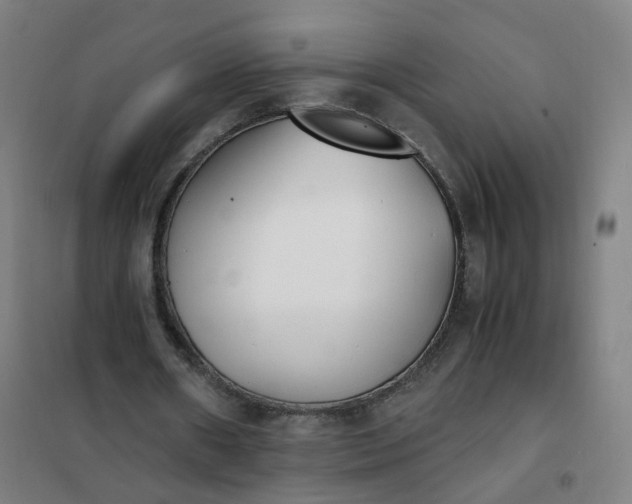 X0000101680482200807241349