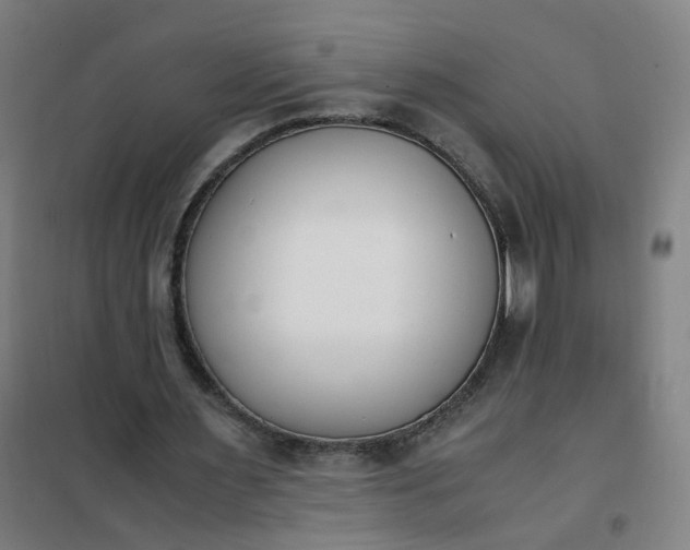 X0000101680483200807241349