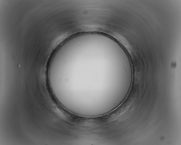 X0000101680485200807241349