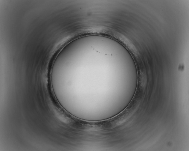 X0000101680486200807241349