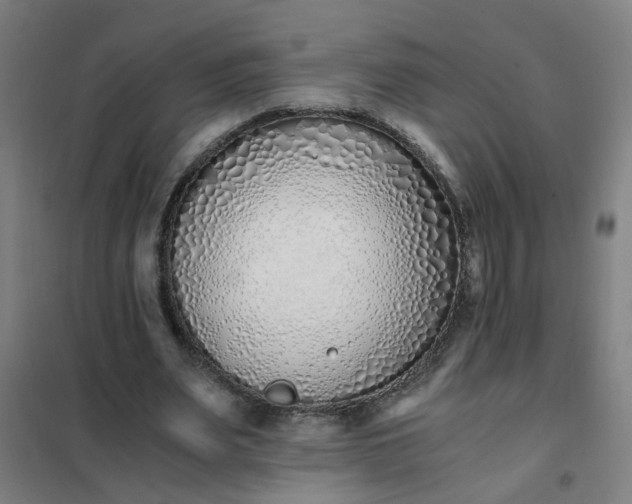 X0000101680487200807241349