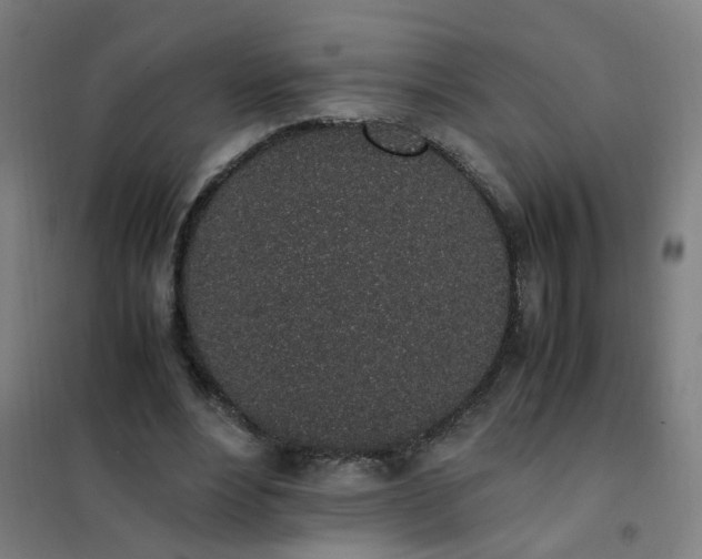 X0000101680488200807241349