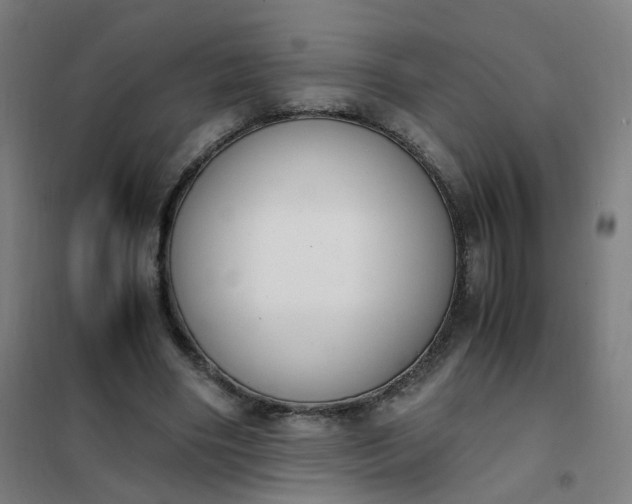 X0000101680490200807241349