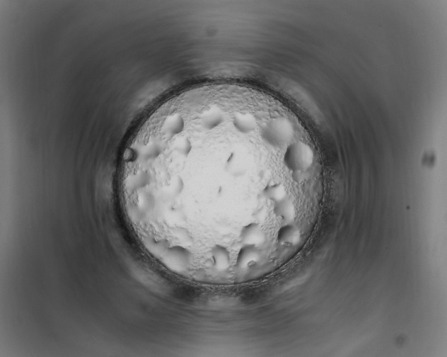 X0000101680491200807241349