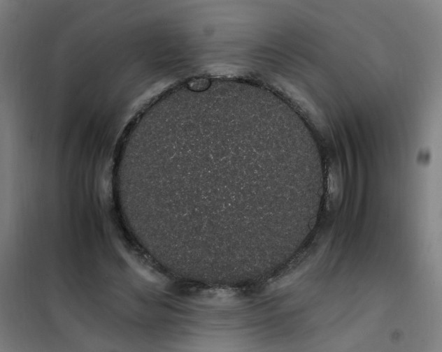 X0000101680492200807241349