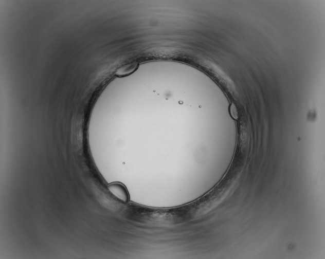 X0000101680493200807241349