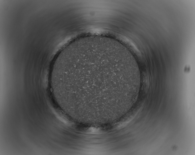 X0000101680496200807241349