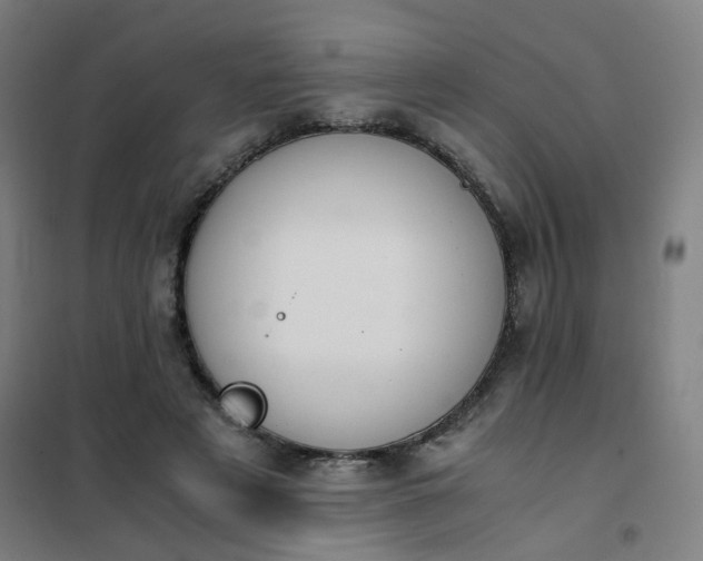 X0000101680497200807241349