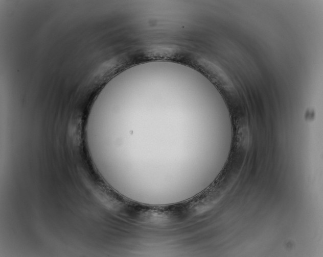 X0000101680498200807241349