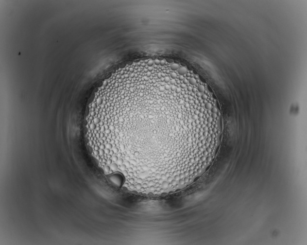 X0000101680499200807241349