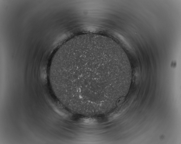 X0000101680500200807241349