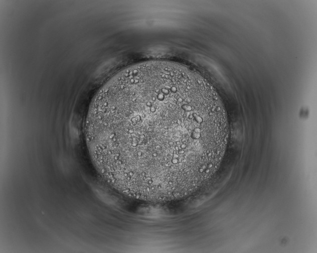 X0000101680503200807241349