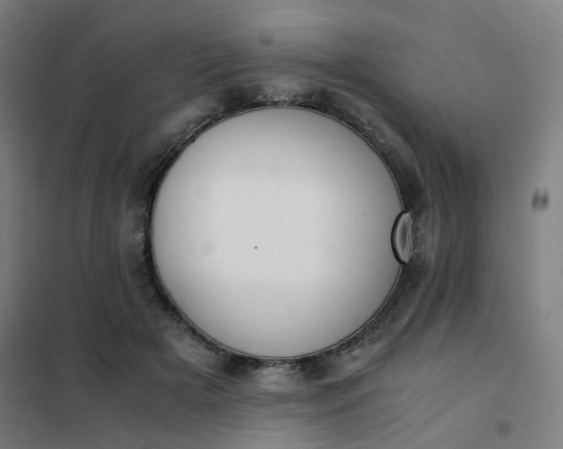 X0000101680505200807241349